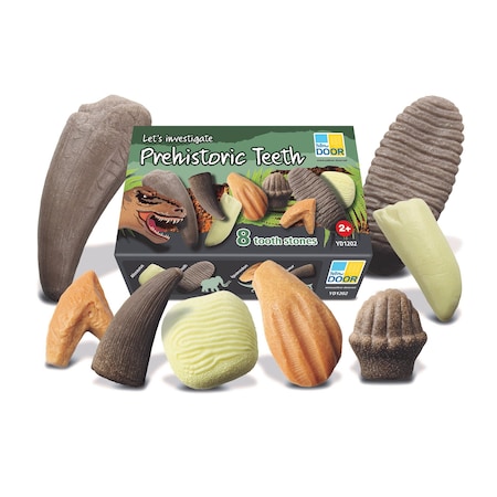 Yellow Door Lets Investigate, Prehistoric Teeth, 8-Piece Set YUS1202